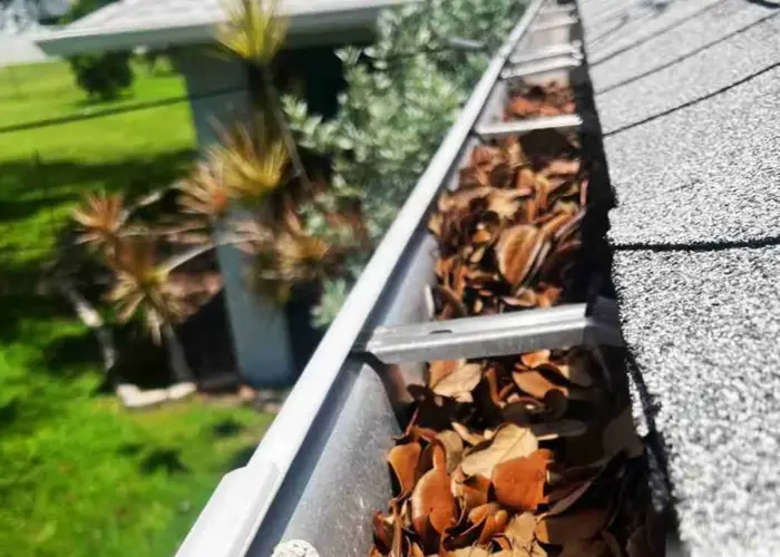 Bellerose gutter cleaning home page